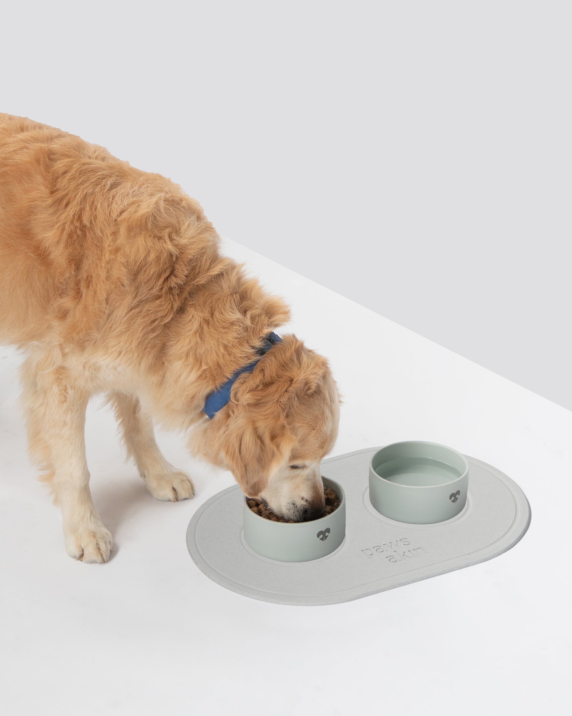 Instant Drying Dog Bowl Mat